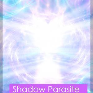 Emergency Shadow Parasite Cleansing – Jerry