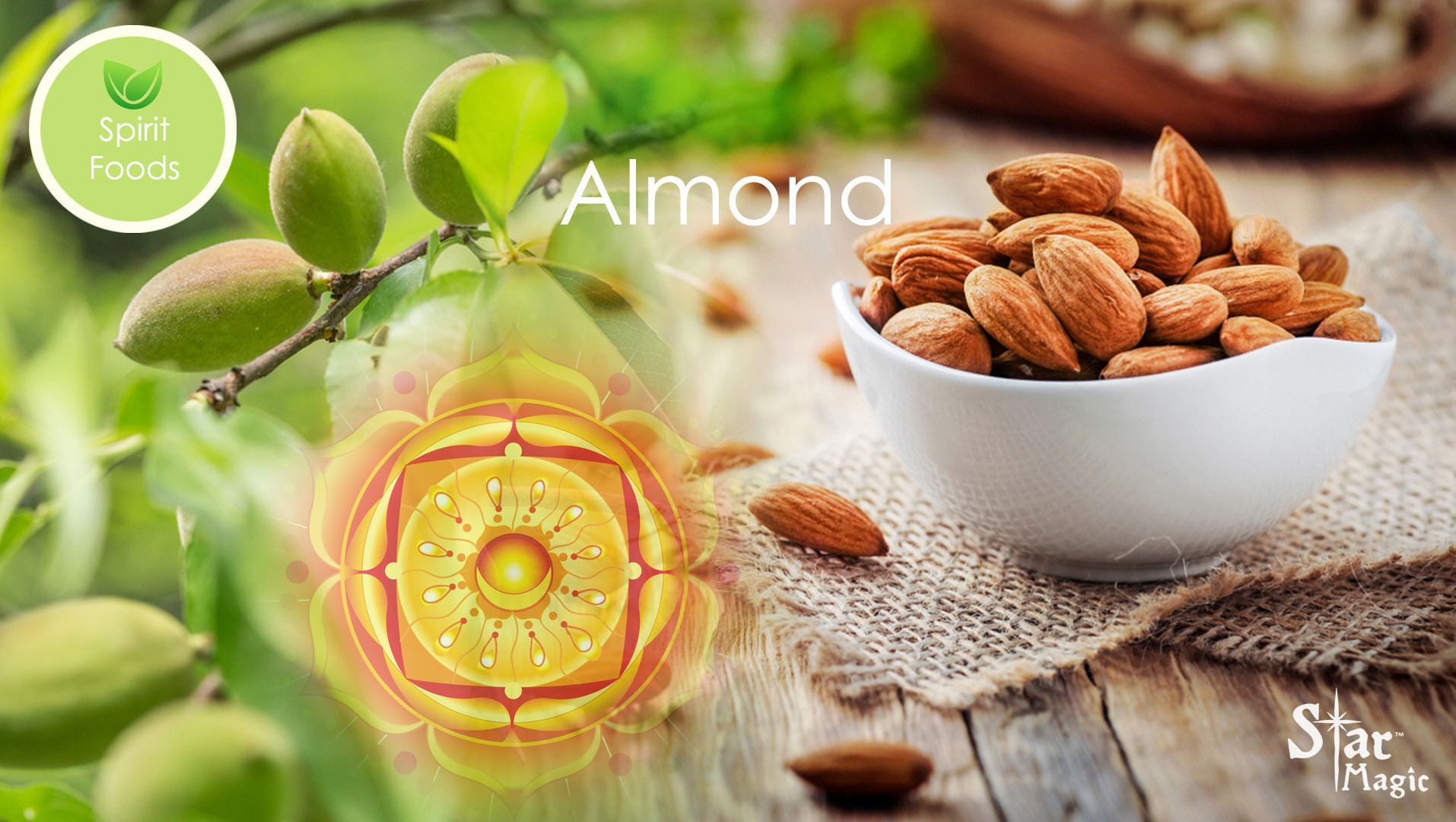 Spirit Food - Almond - Star Magic Healing