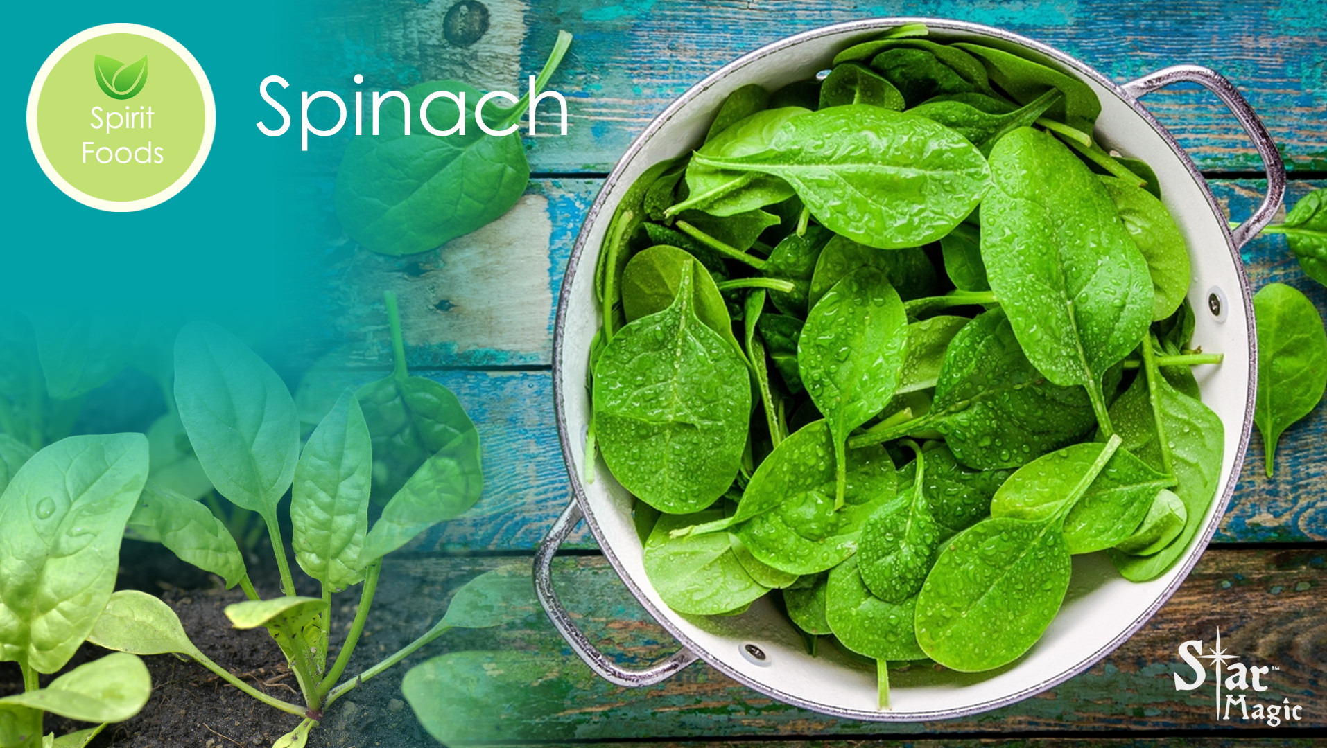 Spirit Food - Spinach - Star Magic Healing