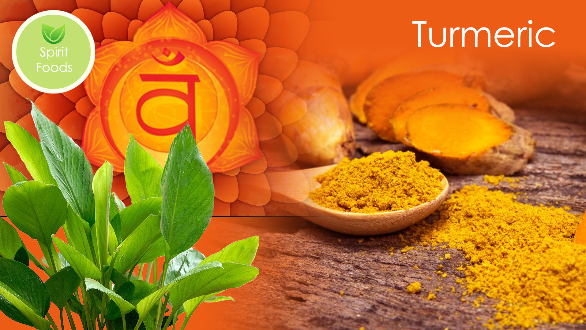 Spirit Food – Turmeric