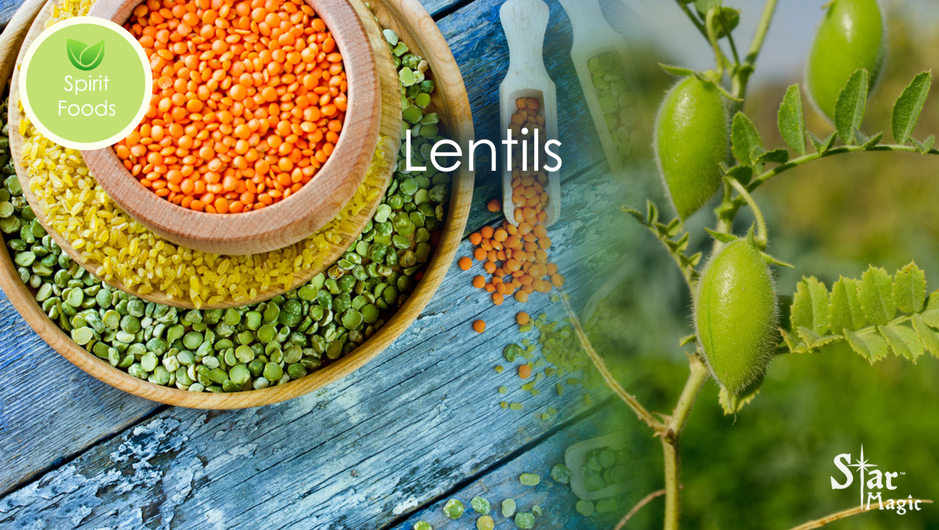 Spirit Food – Lentil