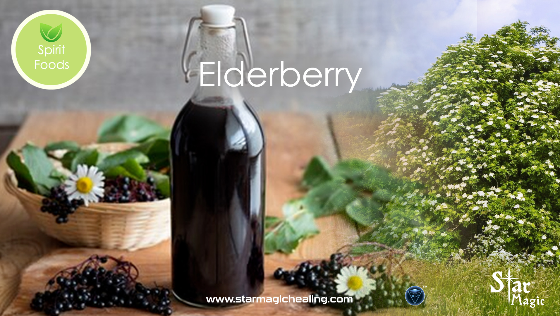 Spirit Food – Elderberry