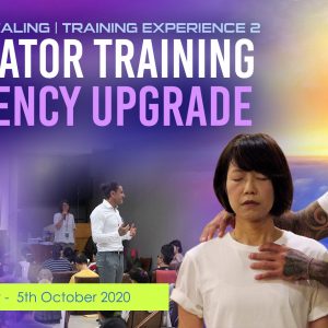 Star Magic Facilitator Training 2, China October 2020