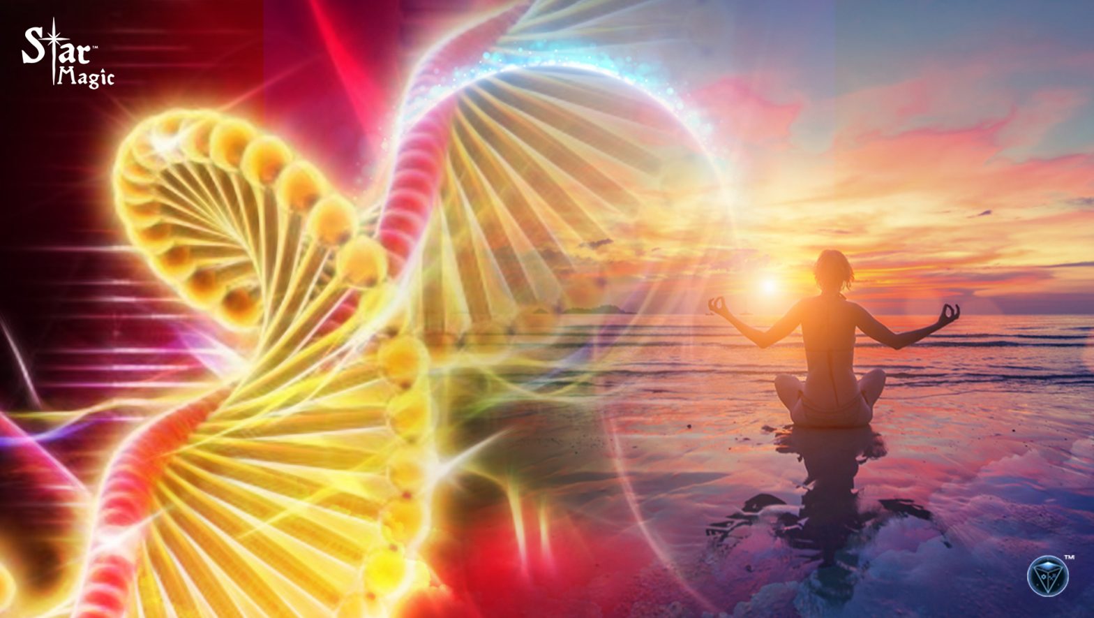 Human Emotions Shape Reality and DNA