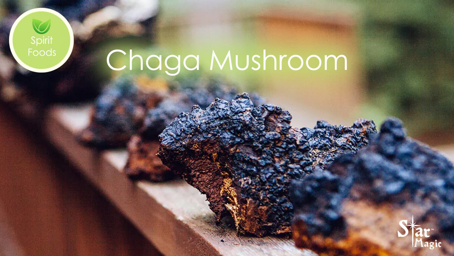 Spirit Food – Chaga Mushroom - Star Magic Healing