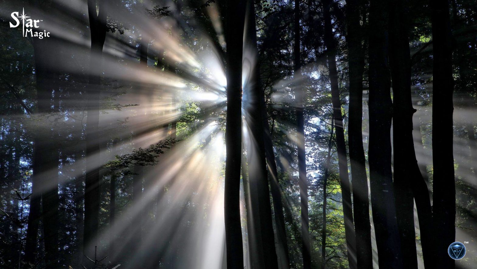 Springing into Nature Blog