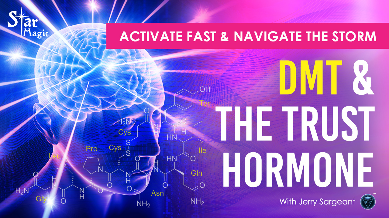 The World Has Gone Crazy | Activate FAST & Navigate The Storm | DMT & The Trust Hormone