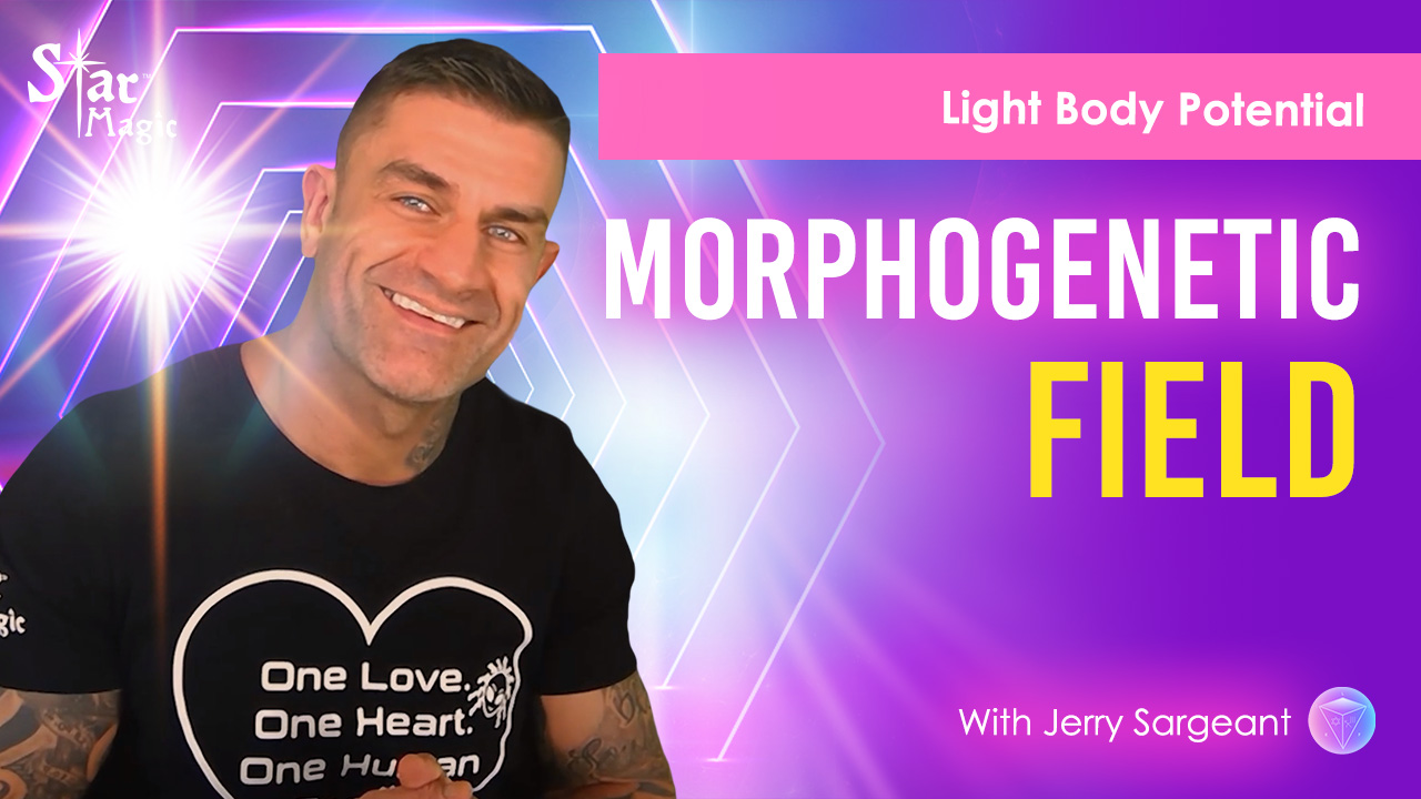 Morphogenetic Field | Light Body Potential