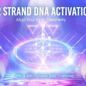 12 Strand DNA Activation – Align Your Inner Geometry, California