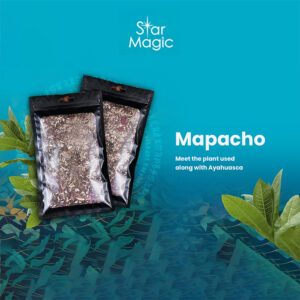 Mapacho