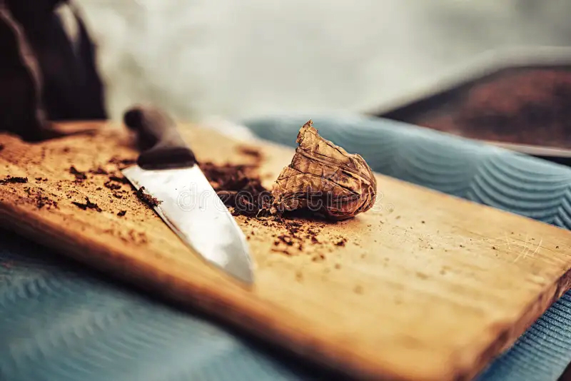 Mapacho Tobacco Rituals for Energy Healing - Star Magic Healing