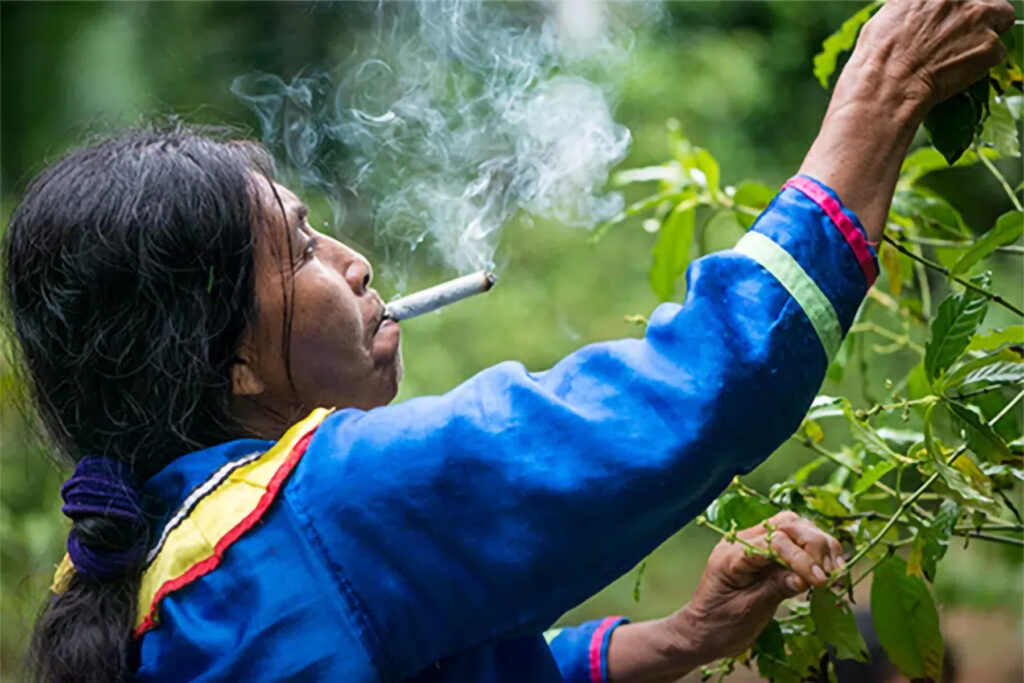 Mapacho Tobacco Rituals for Meditation - Star Magic Healing