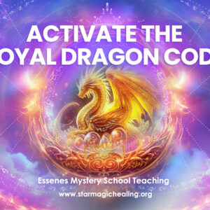 The Royal Dragon Code Activation, Online