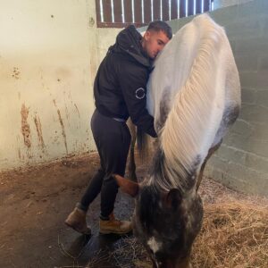 Horse Healing - Weekly Maintenance Package
