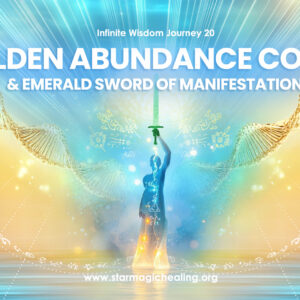 Infinite Wisdom 20 - Digital Teachings
